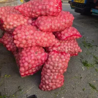 کارگربرای  میدان تره بار مرکزی
