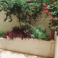 سوئیت همکف با حیاط و پارکینگ درمرکزشهر|اجارهٔ کوتاهمدت آپارتمان و سوئیت|یزد, |دیوار