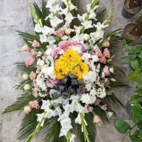 گلفروشی طبیعی. مصنوعی .اپارتمانی|گل و گیاه طبیعی|رودسر, |دیوار