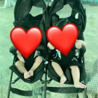 کالسکه دوقلو