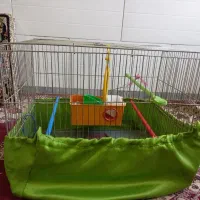 قفس پرنده|لوازم جانبی حیوانات|همدان, |دیوار