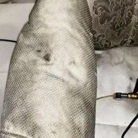 مبل شویی و قالیشویی در منزل سراسر تهران|خدمات نظافت|تهران, اکباتان|دیوار