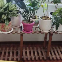 استند گل چوبی