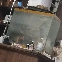 اکواریم دست دوم