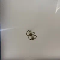 خانه کرایه بر بلوارشیخ مفید