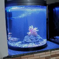 آکواریوم شرکتی تجهیزات ماهی