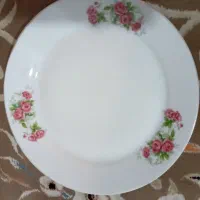 ۳ دست بشقاب