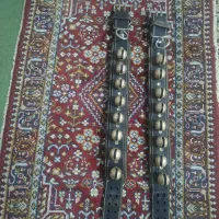 زنگوله.قرچه. قلاده سگ