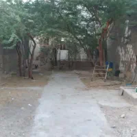 خانه-اجاره-ای-بیدخون-حیاط-بزرگ