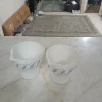 کاملاسالم وبدونه لب پریدگی|ظروف سرو و پذیرایی|تهران, مینای شمالی (مخبر)|دیوار
