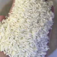 برنج پاکستانی تضمین