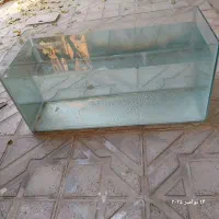 اکواریوم بزرگ|لوازم جانبی حیوانات|کرج, شهرک سهرابیه|دیوار