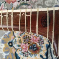 تار۲مهرباوی‌باکاور|سازهای سنتی|ارومیه, |دیوار