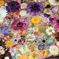 میز اوشن گلس چوب چنار سرخ و گل طبیعی|مبلمان خانگی و میز عسلی|تهران, جیحون|دیوار