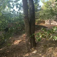 باغچه-233-متری-در-منطقه-خوش-آب-وهوای-خورارنگه