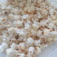 پفیلا ساز مارک بیسمارک آلمان