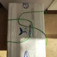 یخدان یونولیتی ۲۰ لیتری بهمراه یخ مسافرتی|کوهنوردی و کمپینگ|تهران, جماران (نیاوران)|دیوار