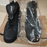 کفش کشتی اسیکس