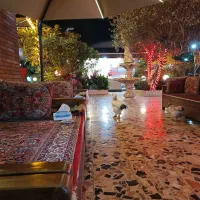 تخته کار مسلط به آشپزی در شهر رامسر