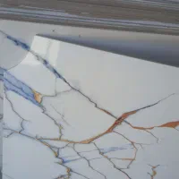 پرسلان ۶۰ در۶۰ متری ۷۵