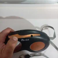 بندقلاده|لوازم جانبی حیوانات|سبزوار, قلعه‌نو دهزار|دیوار