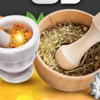 فروشنده خانم