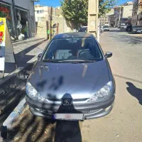 ۲۰۶ اس دی v20