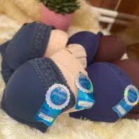 بدلیجات|بدلیجات|مهاباد (آذربایجان غربی), |دیوار