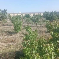 420-مترسند-تک-برگ-دهشاد-پایین-مجتمع-باغستان