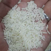 برنج هاشمی|خوردنی و آشامیدنی|رشت, استقامت ۲|دیوار