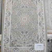 پادری|پادری|تهران, امیرآباد|دیوار