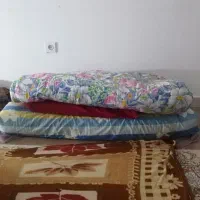 رختخواب پشم طبیعی پرده کتیبه توری در وپنجره|رختخواب، بالش، پتو|رشت, آب و برق|دیوار