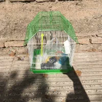 قفس و کیف پرنده|لوازم جانبی حیوانات|تهران, افسریه شمالی|دیوار