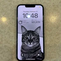 آیفون ۱۳|موبایل|اصفهان, سیچان|دیوار