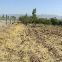 گاوداری شیری ۱۰۰ راسی + ۳/۵ هکتار زمین و باغ|فروش دفتر صنعتی، کشاورزی، تجاری|خرمدره, |دیوار