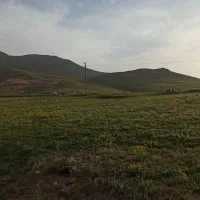 فروشی                            هر من ۱۱۰میلیون