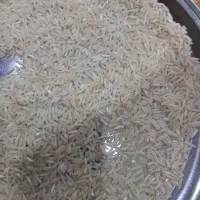 برنج طارم سیروان|خوردنی و آشامیدنی|ایلام, |دیوار