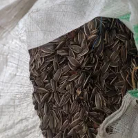 تخمه s400|خوردنی و آشامیدنی|شال, |دیوار