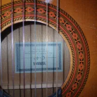 ساز|آلات موسیقی|ساری, |دیوار