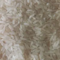 برنج پاکستانی درجه یک