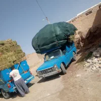 علوفه|لوازم جانبی حیوانات|تکاب, |دیوار