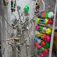 قفس پرنده با تجهیزات یکجا|پرنده|رفسنجان, |دیوار