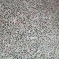 کاه خار شتر|عمده‌فروشی|فیروزه, |دیوار