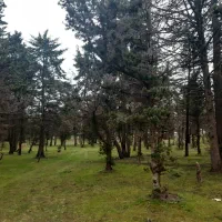 خانه-ویلا-مسکونی-2000متری-همراه-زمین-کشاورزی