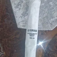 فلوت ریکوردر