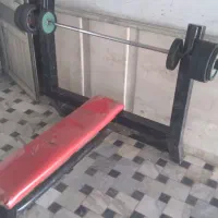 هالتر با میل و وزنه ها