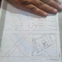 زمین-تجاری-کمیل-ملکی