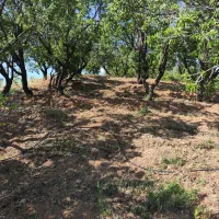 باغ درجه یک دوبر فنس کشی|فروش دفتر صنعتی، کشاورزی، تجاری|فولادشهر, فولادشهر|دیوار