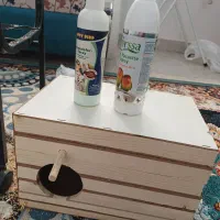 عروس هلندی|پرنده|ایلام, |دیوار