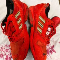 کتونی zxلگو قرمز|کیف، کفش، کمربند|شوش, |دیوار